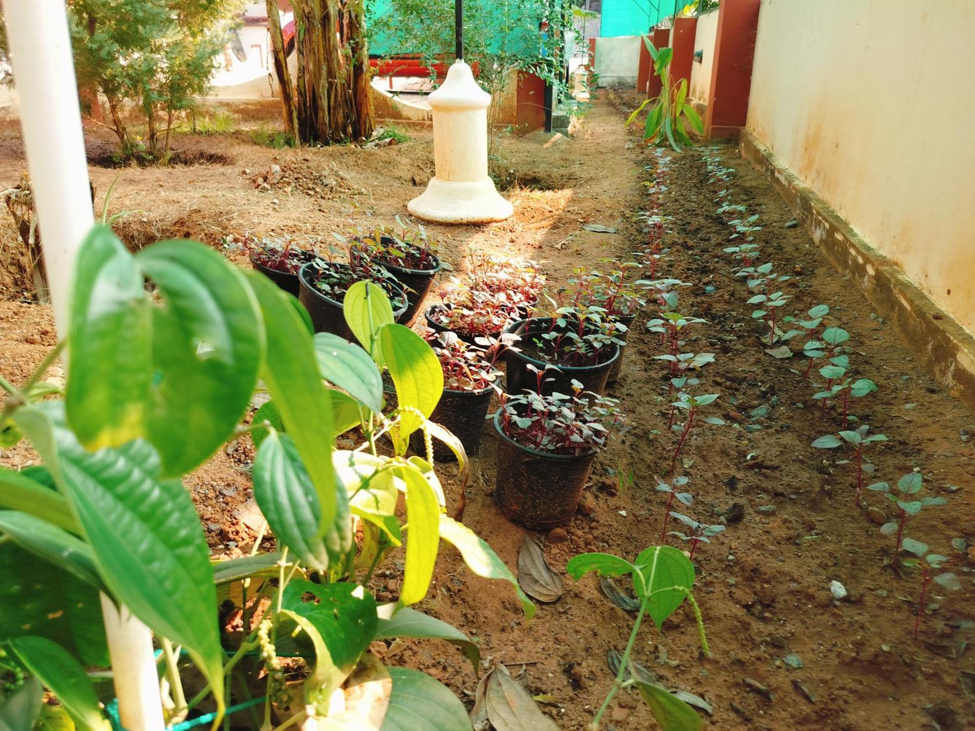 The Ixora - A Boutique Homestay Varkala Εξωτερικό φωτογραφία