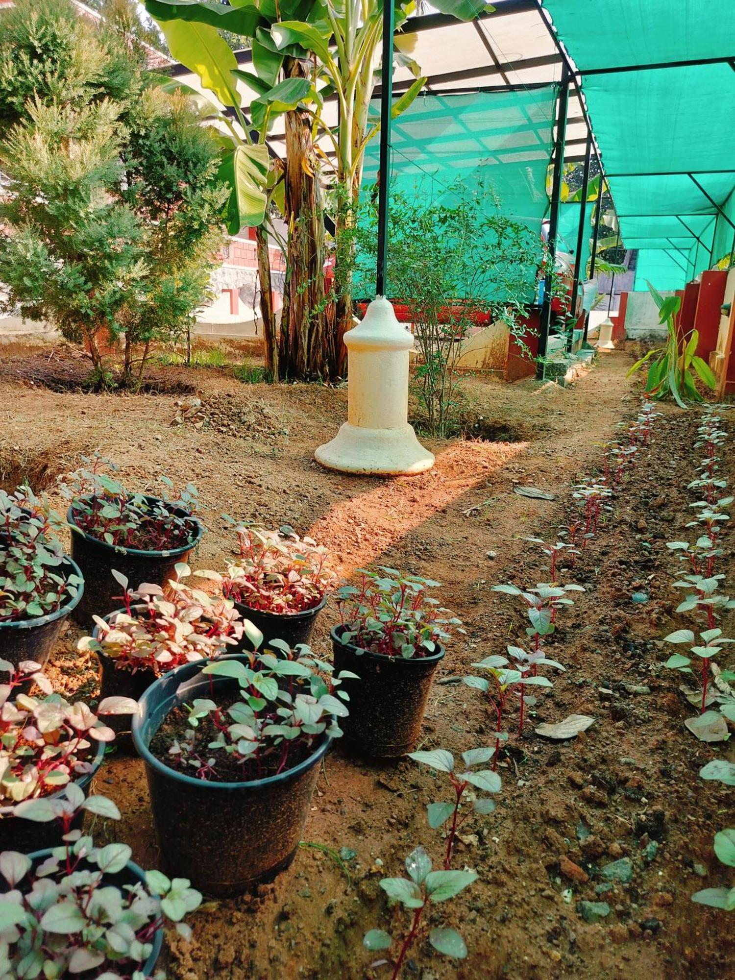 The Ixora - A Boutique Homestay Varkala Εξωτερικό φωτογραφία